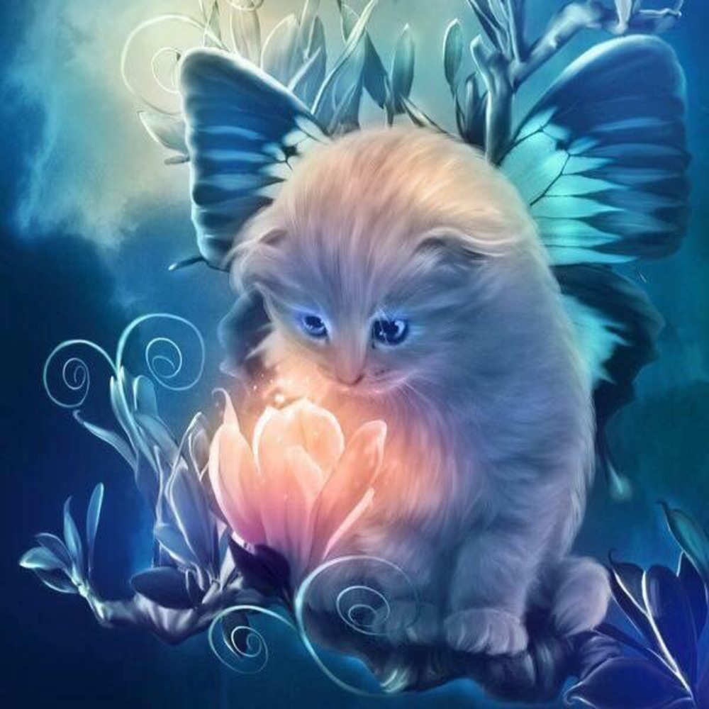 Meet your Posher, Nicola